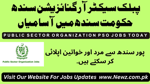 public sector organization jobs online apply