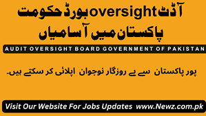 audit oversight board jobs salary