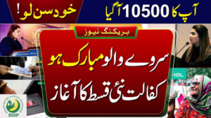 dynamic survey check online, dynamic survey online apply, dynamic survey bisp app download, bisp dynamic survey update, bisp dynamic survey app, ehsaas dynamic survey, dynamic registry bisp meaning in urdu, 8171 online survey,