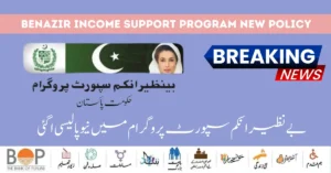 ehsaas program registration 8171 nadra, 8171 check online cnic, 8171 check online 25000, ehsaas program cnic check online 25000 2024, 8171 web portal, ehsaas program 12000 online check, ehsaas 8171 live, bisp 8171 online registration,