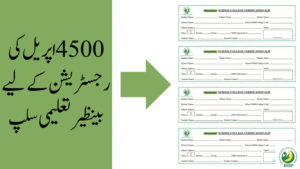 BISP slips 2024,Benazir taleemi slips 4500 registration online apply by CNIC,How To register bisp,