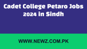Cadet College Petaro Jobs 2024 in Sindh