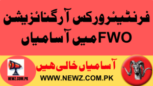 FWO Jobs 2024