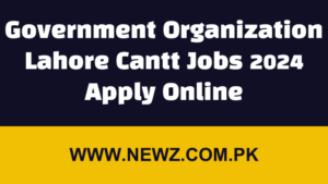 Government Organization Lahore Cantt Jobs 2024 Apply Online