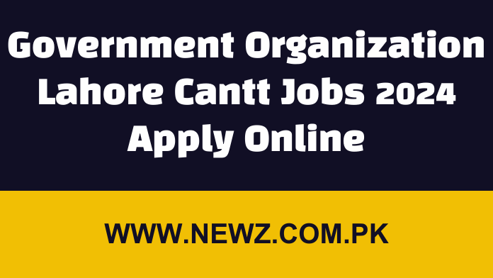 Government Organization Lahore Cantt Jobs 2024 Apply Online