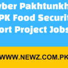 Khyber Pakhtunkhwa KPK Food Security Support Project Jobs 2024
