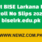 Latest BISE Larkana Board Roll No Slips 2024 biselrk.edu.pk