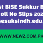 Latest BISE Sukkur Board Roll No Slips 2024 bisesuksindh.edu.pk