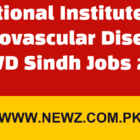 National Institute of Cardiovascular Diseases NICVD Sindh Jobs 2024