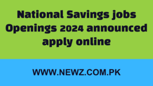 cdns jobs gov pk,national job portal,national job portal online apply,national savings jobs,national savings jobs 2024,