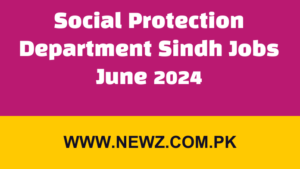 Social Protection Department Sindh Jobs June 2024