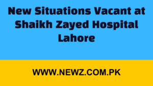 New Situations Vacant at Shaikh Zayed Hospital Lahore