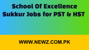 School Of Excellence Sukkur Jobs for PST& HST