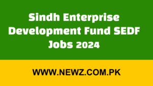 Sindh Enterprise Development Fund SEDF Jobs 2024