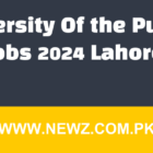 University Of the Punjab Jobs 2024 Lahore