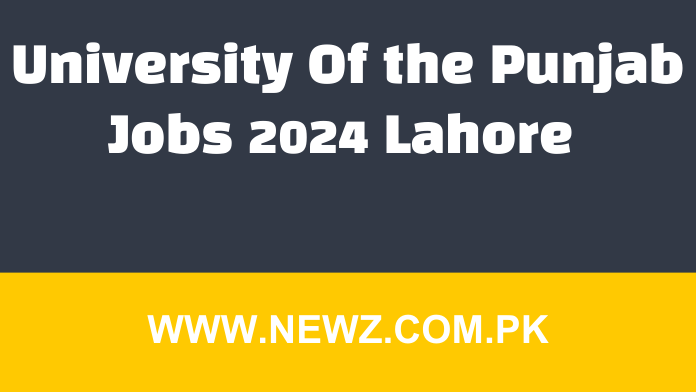 Punjab University Lecturer Jobs 2024 - Newz Com Pk