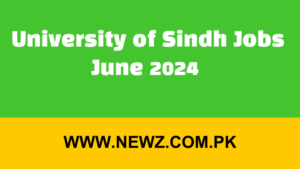 University of Sindh Jobs June 2024 for Accounts Officer
