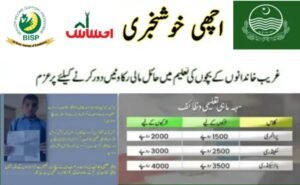 Benazir Taleemi Wazaif check online, Benazir Taleemi Wazaif registration 2024, Benazir Taleemi Wazifa check online by CNIC, Benazir Taleemi 8171, Ehsaas Taleemi Wazifa check online by CNIC, 8171 Taleemi Wazaif, Benazir Income Support Programme, BISP registration check by CNIC,