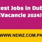 jobs in dubai 2024, jobs in dubai ngo, urgent job vacancies in dubai, jobs in dubai with salary, jobs in dubai for freshers, jobs in dubai for indians, dubai company jobs online apply, jobs in dubai for pakistani,