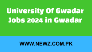 University of gwadar jobs salary, gwadar jobs 2024, university of gwadar logo, university of turbat jobs, gwadar university departments, pak china gwadar university lahore, balochistan jobs, jobs in turbat,