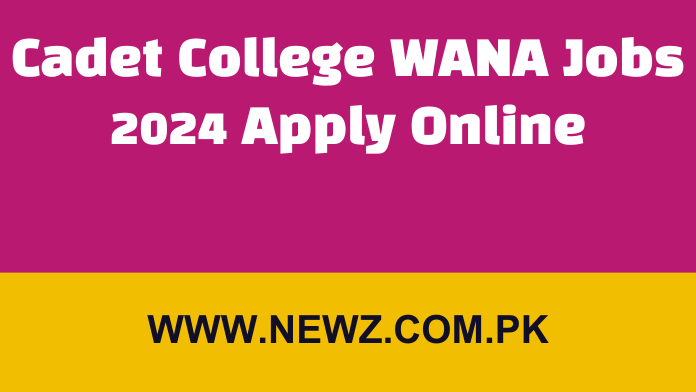 Cadet College WANA Jobs 2024 Apply Online Cadet College WANA Jobs 2024