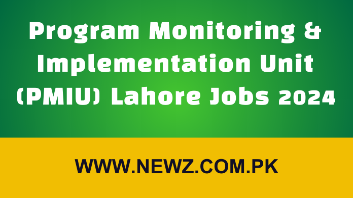 Program Monitoring & Implementation Unit (PMIU)