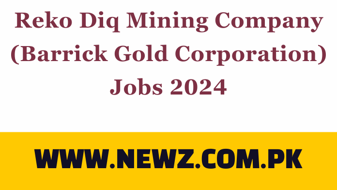 Reko Diq Mining Company (Barrick Gold Corporation) Jobs 2024