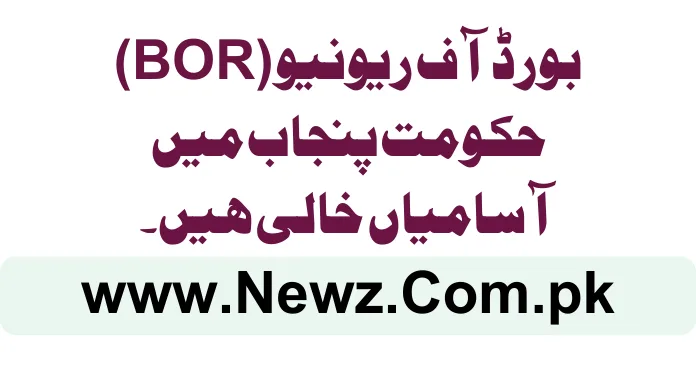 Board of Revenue (BOR) Government of Punjab Jobs 2024