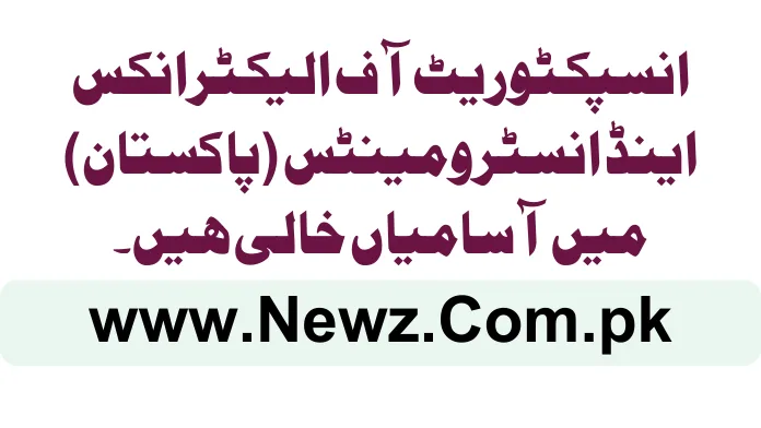 Inspectorate of Electronics and Instruments (Pakistan) Jobs 2024 Inspectorate of Electronics and Instruments (Pakistan) Jobs 2024