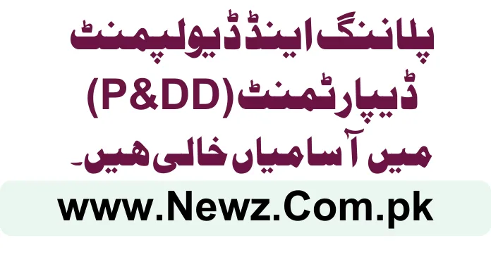 Planning & Development Department (P&DD) Jobs 2024