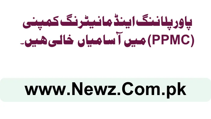 Power Planning and Monitoring Company (PPMC) Jobs 2025 ppmc