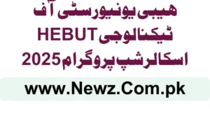 Hebei University of Technology HEBUT Scholarship Program 2025