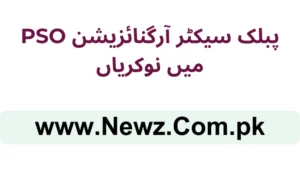 Public Sector Organization PSO Jobs 2025