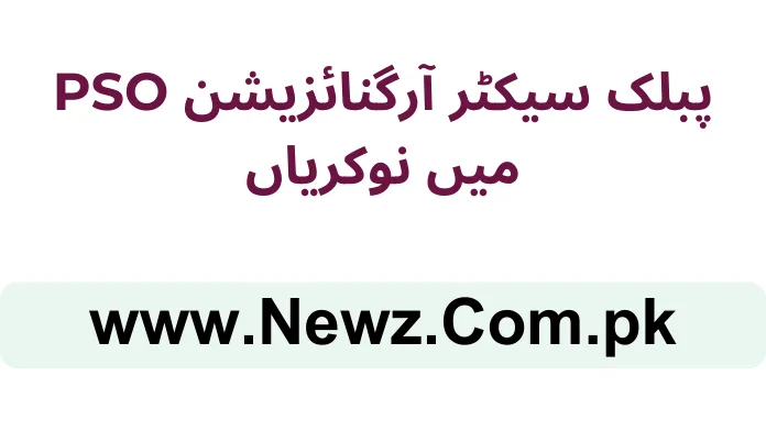 Public Sector Organization PSO Jobs 2025