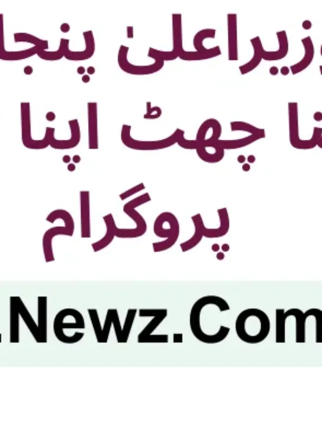 CM Punjab loan scheme apply online