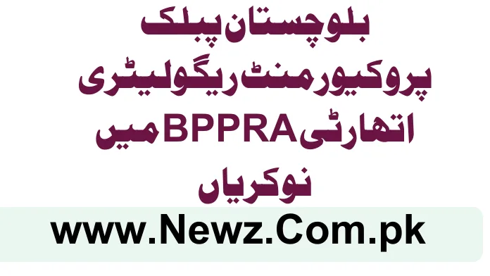 Balochistan Public Procurement Regulatory Authority BPPRA Jobs 2025