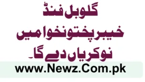 Global Fund Grant Khyber Pakhtunkhwa Jobs 2025