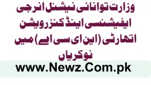 Ministry of Energy Jobs 2025 National Energy Efficiency And Conservation Authority (NEECA)