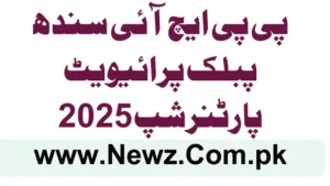 PPHI Sindh Public-Private Partnership 2025