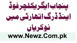 Punjab Agriculture Food and Drug Authority Jobs 2025