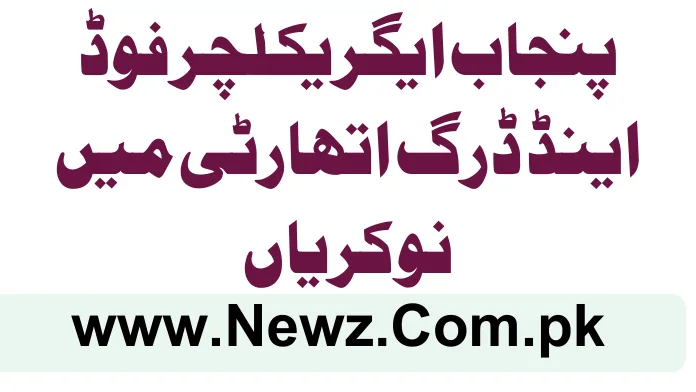 Punjab Agriculture Food and Drug Authority Jobs 2025