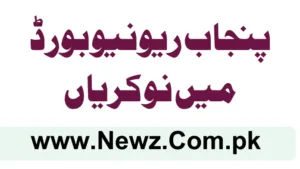 Punjab Revenue Board BOR Jobs 2025
