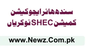 Sindh Higher Education Commission SHEC Jobs 2025