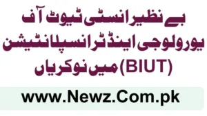 Benazir Institute of Urology & Transplantation (BIUT) Jobs 2025 (1)