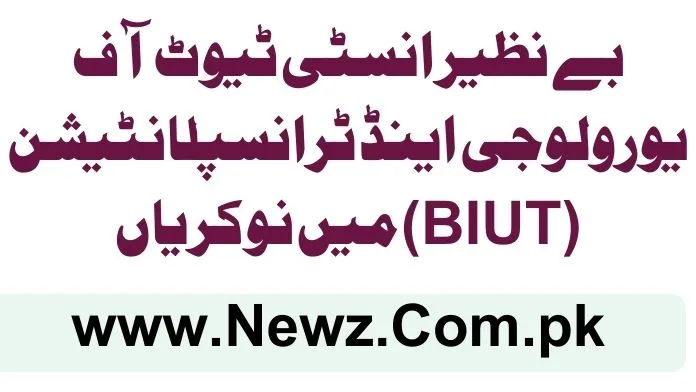 Benazir Institute of Urology & Transplantation (BIUT) Jobs 2025 Benazir Institute of Urology & Transplantation (BIUT) Jobs 2025 (1)