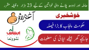 CM Punjab Aghosh Program 23000 Payment Online Apply