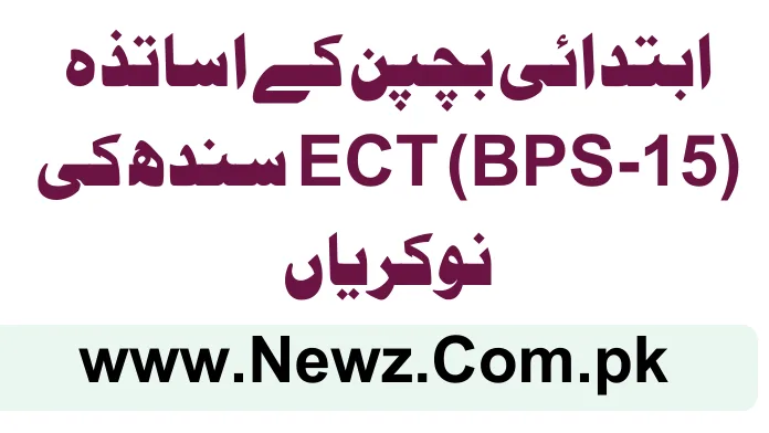 Early Childhood Teachers (BPS-15) Sindh Jobs 2025 Early Childhood Teachers (BPS-15) Sindh Jobs 2025