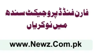 Foreign Funded Project Sindh Jobs 2025