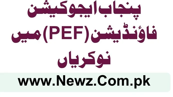 Punjab Education Foundation (PEF) Jobs 2025