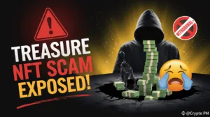 Treasure NFT Exposed The Shocking Truth Behind the Ponzi Scheme